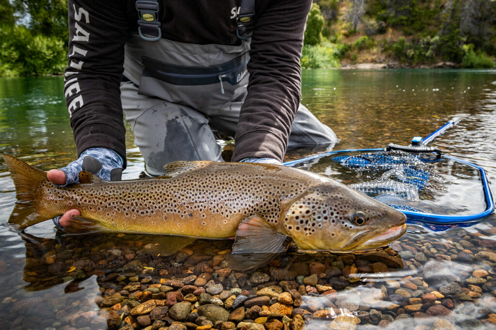 argentina-waters-fly-fishing-home